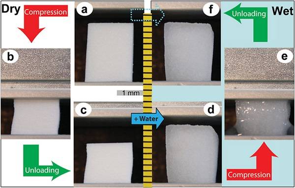 Monils - 默尼離子液體